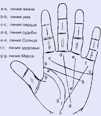 Линии на руке и их значение на левой руке у женщины с картинками и описанием