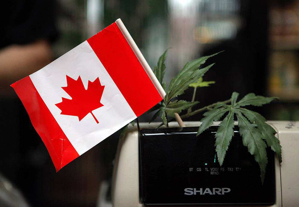 Канада легализовала марихуану варадеро купить марихуану