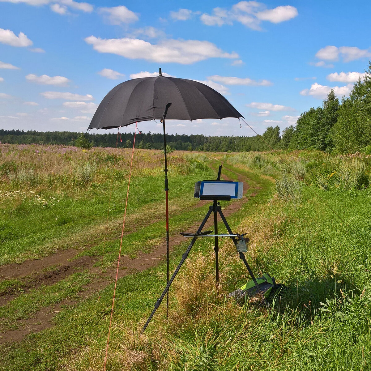 Мольберт для рисования на пленэре должен быть надёжным, и не слишком тяжёлым, желательно с изменяемым наклоном изобразительной поверхности — это особенно важно для акварели, полезно и для других текучих техник, а также позволять закреплять планшеты, картонки и холсты различных форматов, быть удобным для работы сидя и стоя. 