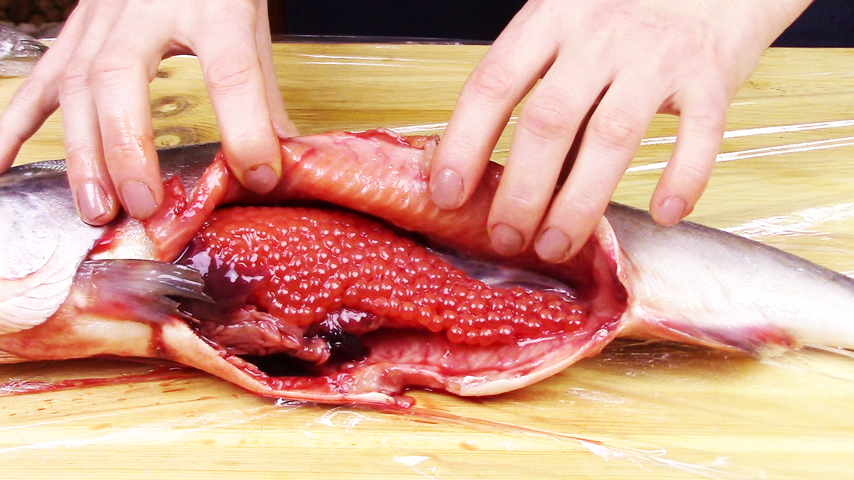 как правильно выбрать горбушу с икрой