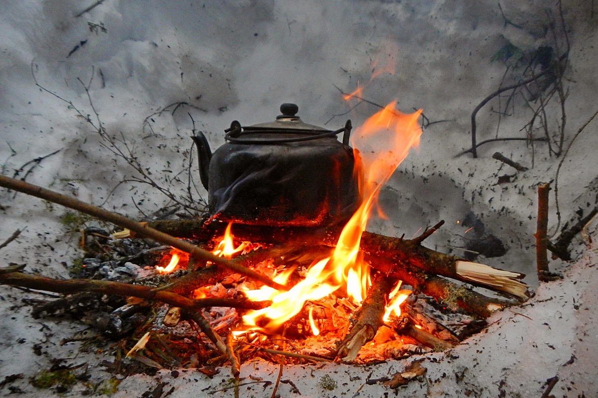 (фото из интернета)