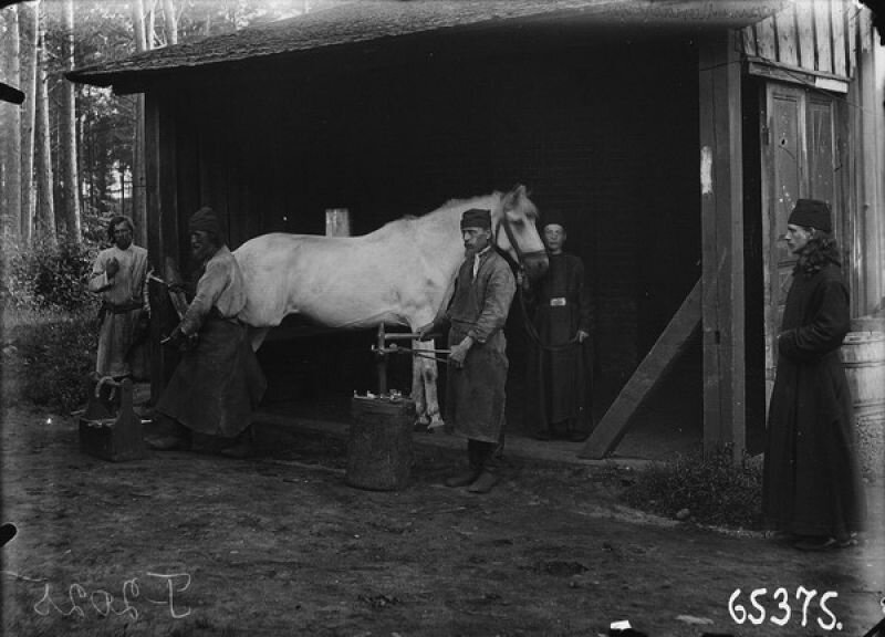 Монахи подковывают лошадь. Карл Булла,  1900-е, Центральный государственный архив кинофотофонодокументов Санкт-Петербурга.