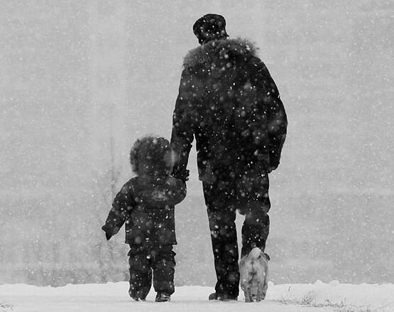 Фото: v-i-pics.com