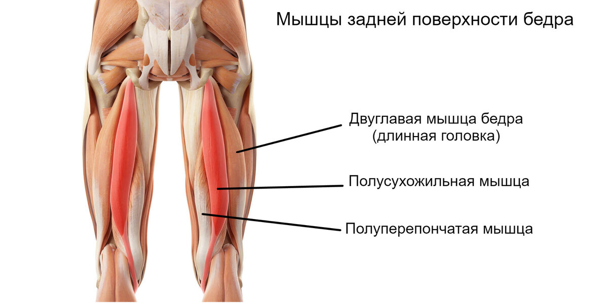 Перелом шейки бедра