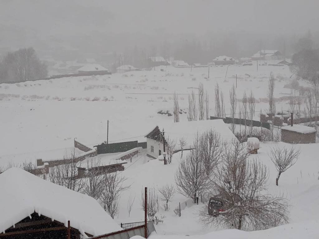 Фото: отправлено читателями АП 