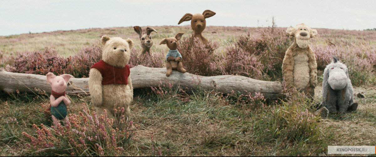 Сюжет картины поведает о том как уже повзрослевшего и обретшего собственную семью Кристофера Робина находит его старый друг медвежонок Винни. Пух не может найти своих друзей, внезапно пропавших из Стоакрового Леса и ему понадобится помощь Кристофера и, возможно, возмужавшему Робину тоже пригодится помощь плюшевого друга. 