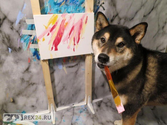 Фото: ridus.ru
