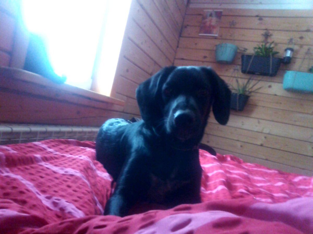 Шо? Вы тут стояли? 