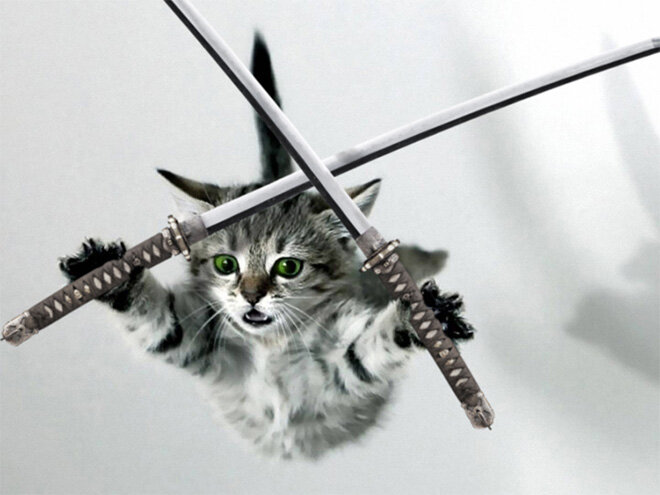 Источник фото интернет http://gagz.ru/wp-content/uploads/2017/04/katana1-8.jpg