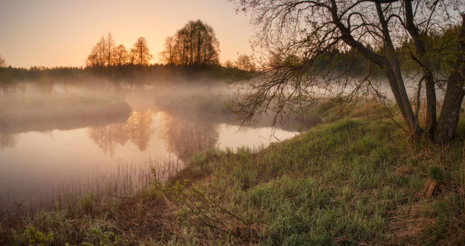 Фото взято из открытых источников.