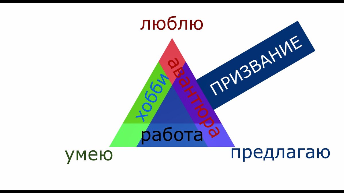 Как выбрать вид предпринимательской деятельности | Человек как творец  социума | Дзен