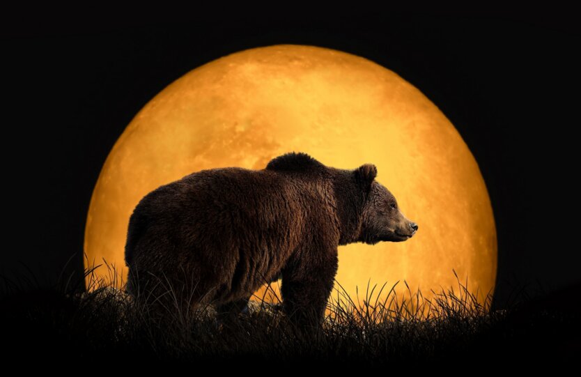 Взято из Яндекс. Картинки.