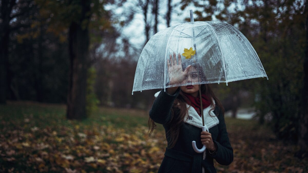 Photo by Elijah O'Donnell on Unsplash