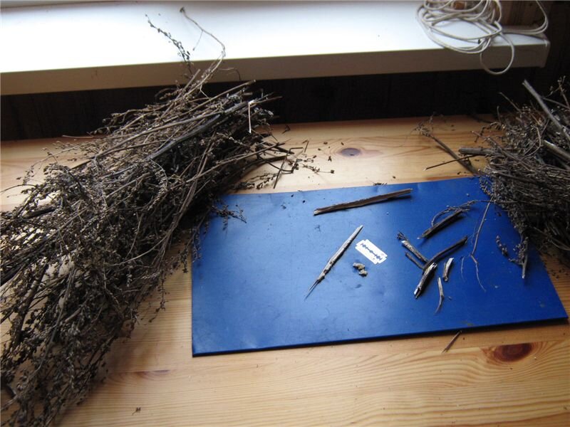 Фото взято с ЯНДЕКС КАРТИНОК.