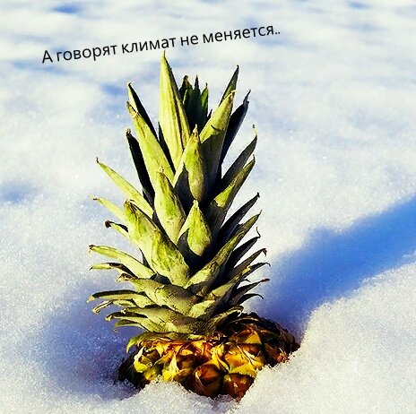 Скоро похоже так и будет... исходное фото с сервиса Яндекс картинки