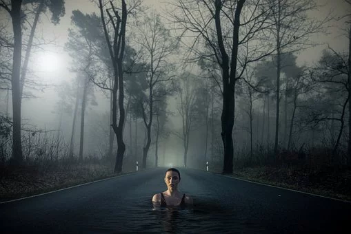 источник pixabay.com