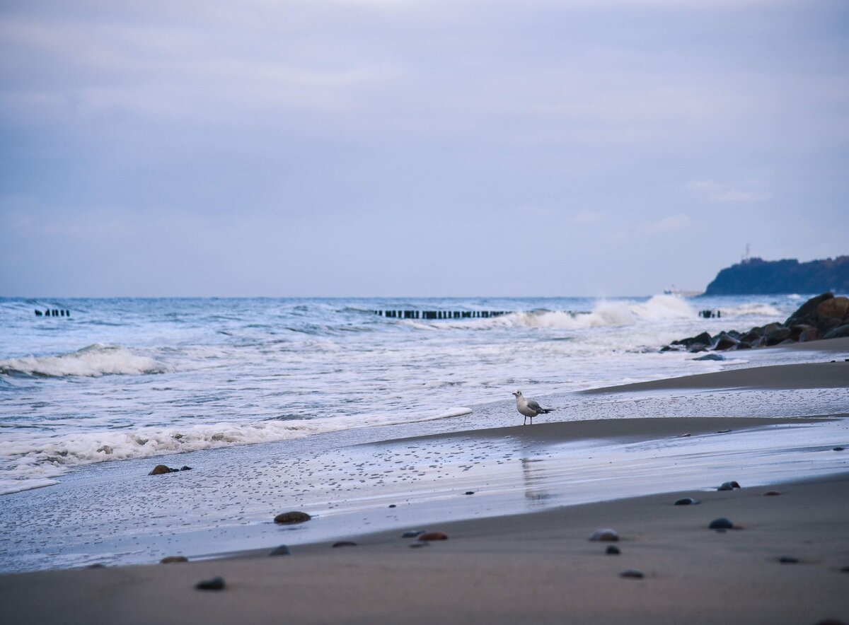 Не успели добраться до Калининграда - как я тут же поехала повидать море - в Светлогорск.