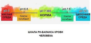 Ацидоз. Что это? И как с ним бороться? | Все обо всем | Дзен