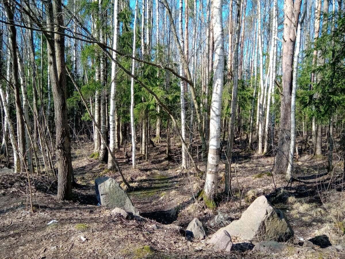 юнтоловский парк спб