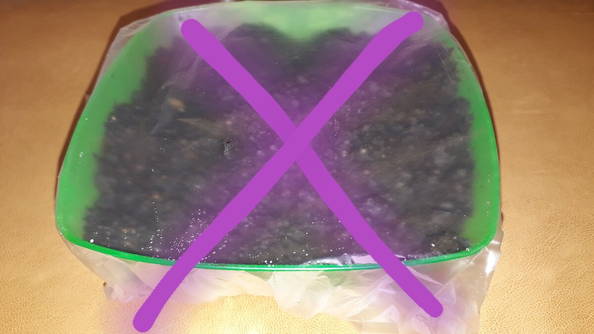 Земляника так и не взошла 