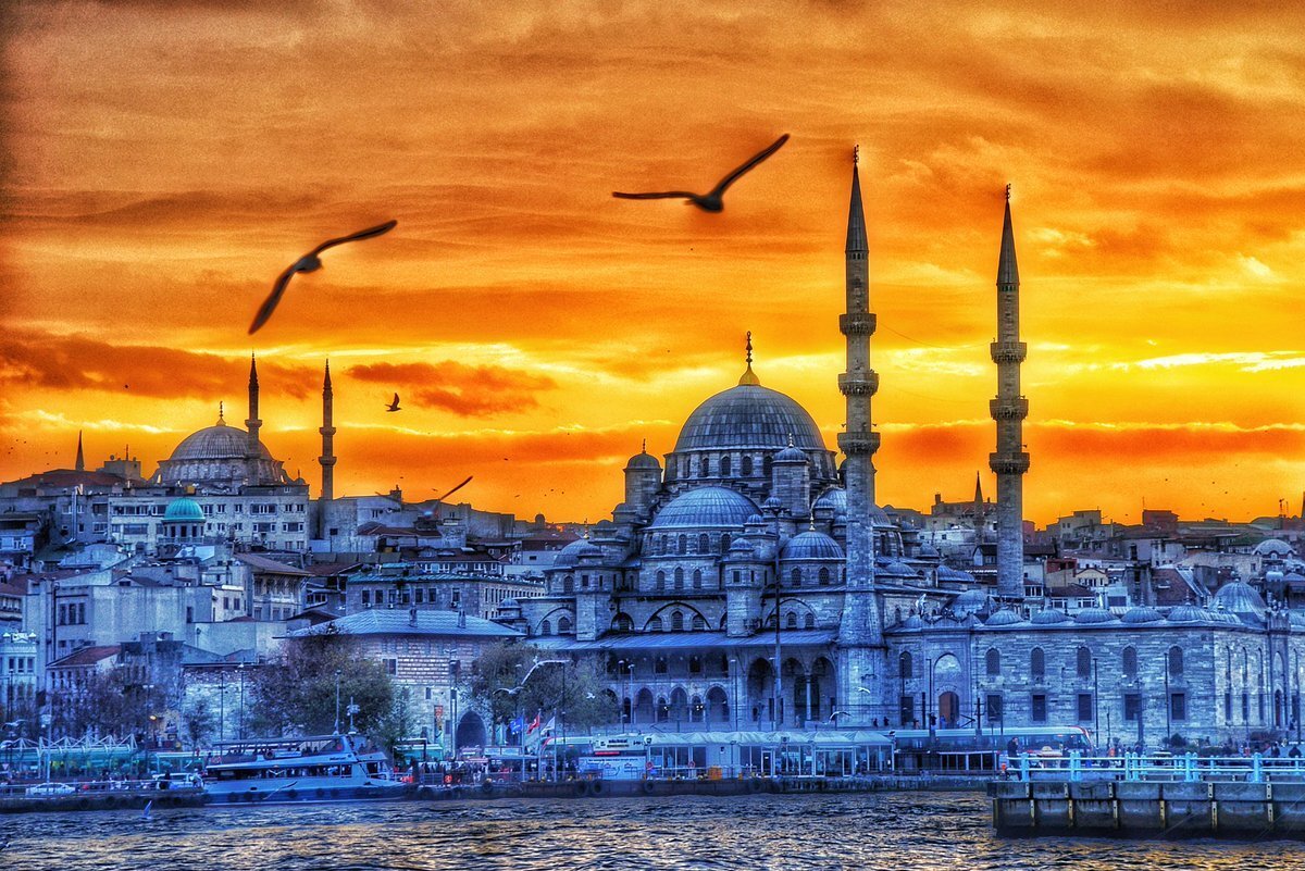 фото с сервиса яндекс картинки