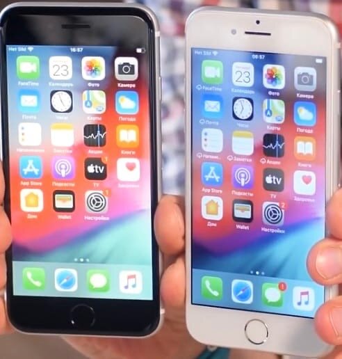 Слева iPhone 8, а справа новый iPhone SE