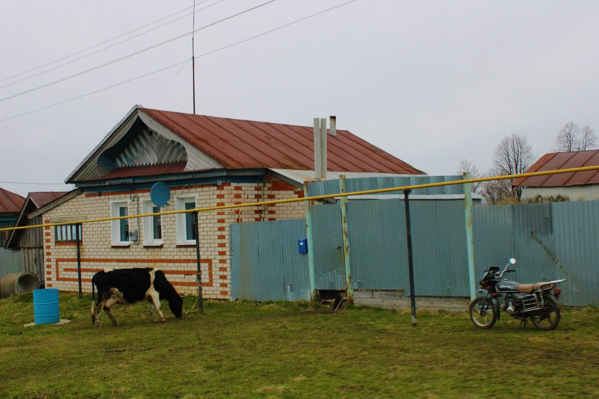 Случайно забрели на огромную заброшенную ферму, обнаружили там двое старинных саней. Похоже, она обанкротилась осенью…