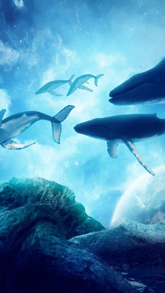 Фото из интернета: https://www.pinterest.ru/pin/757449231066920918/