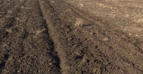 Рыхление почвы