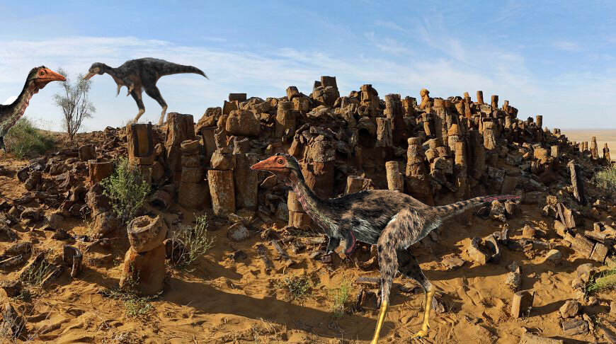 коллаж автора.