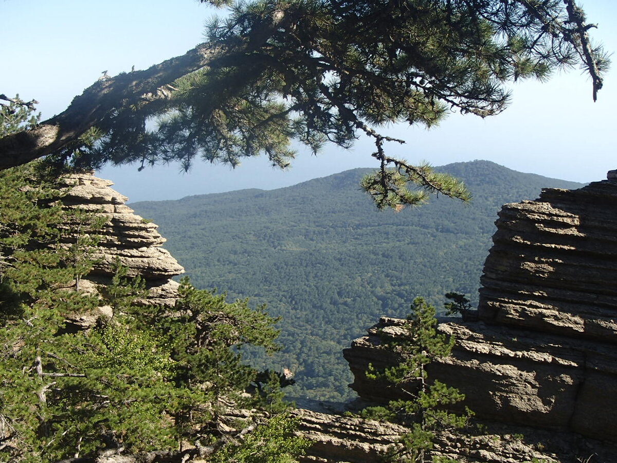 Хребет Таракташ