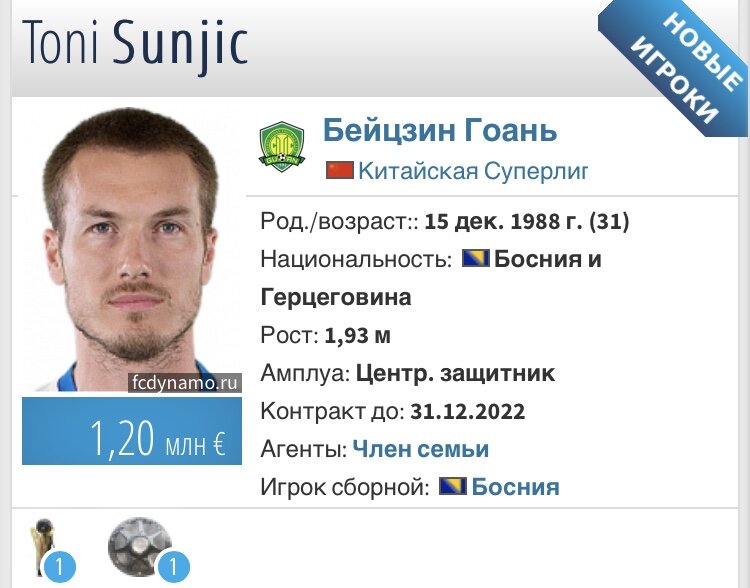 Статистика Тони Шунича