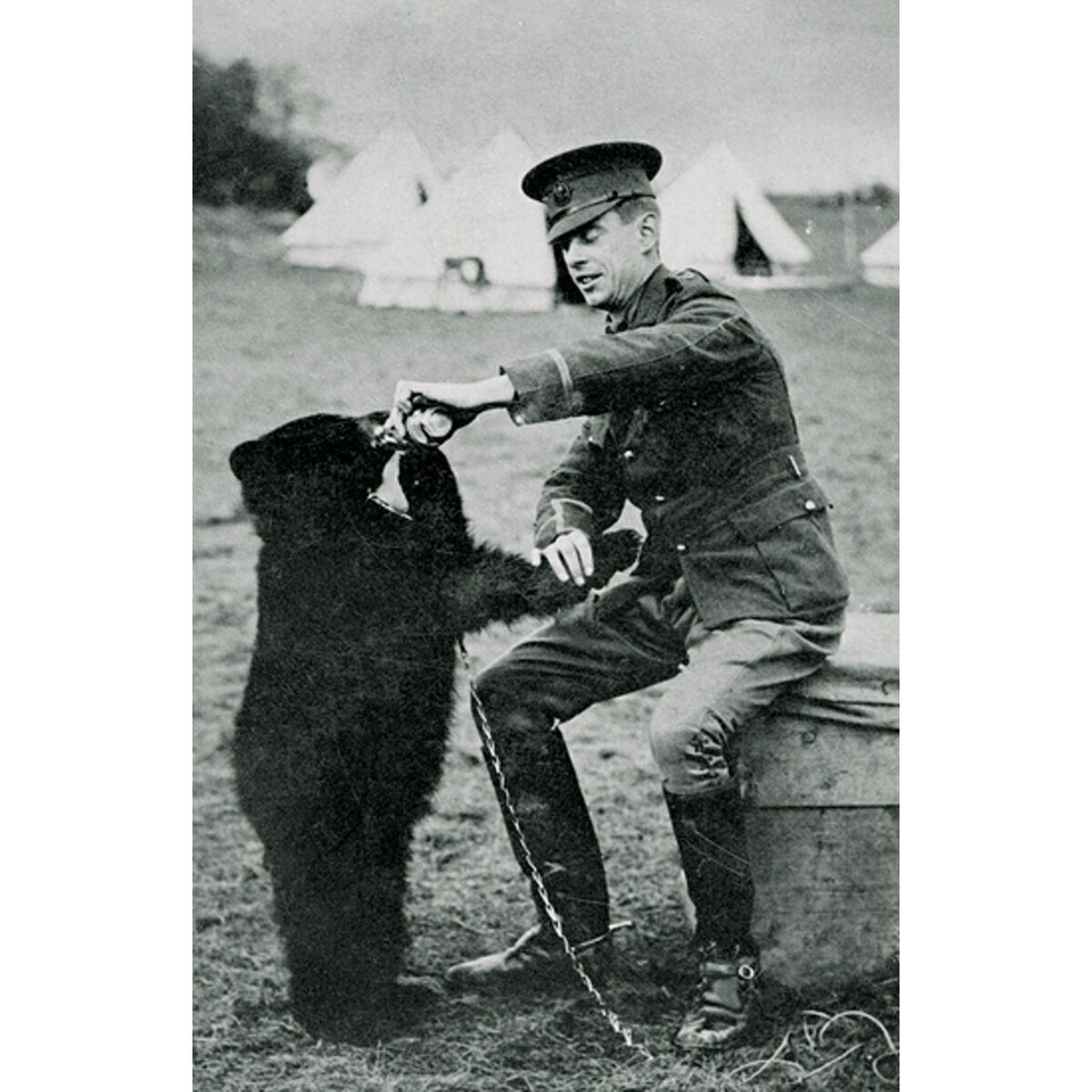 Та самая Виннипег