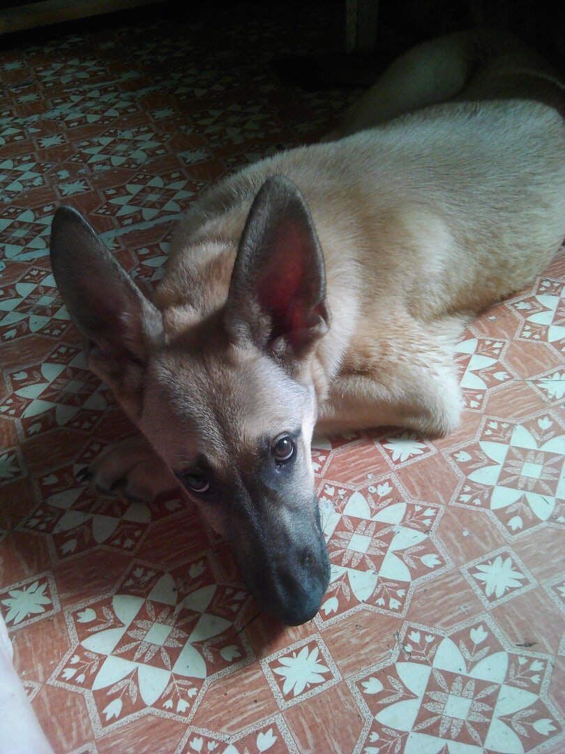 Лаки подросток