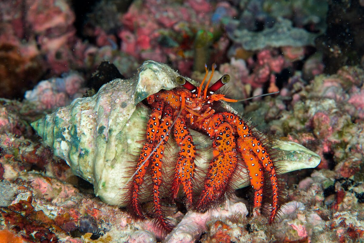 Фото: Андрей Балта 