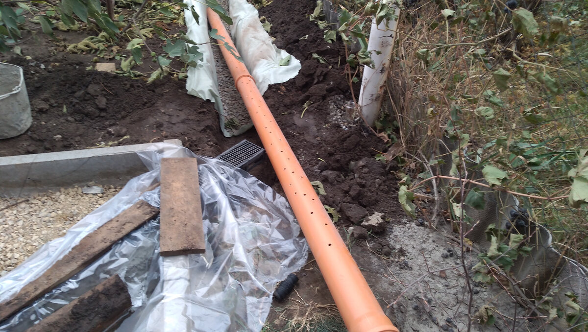 \"Зачем мудрить?\" Проектировщик ландшафта показал, как и куда проще ...