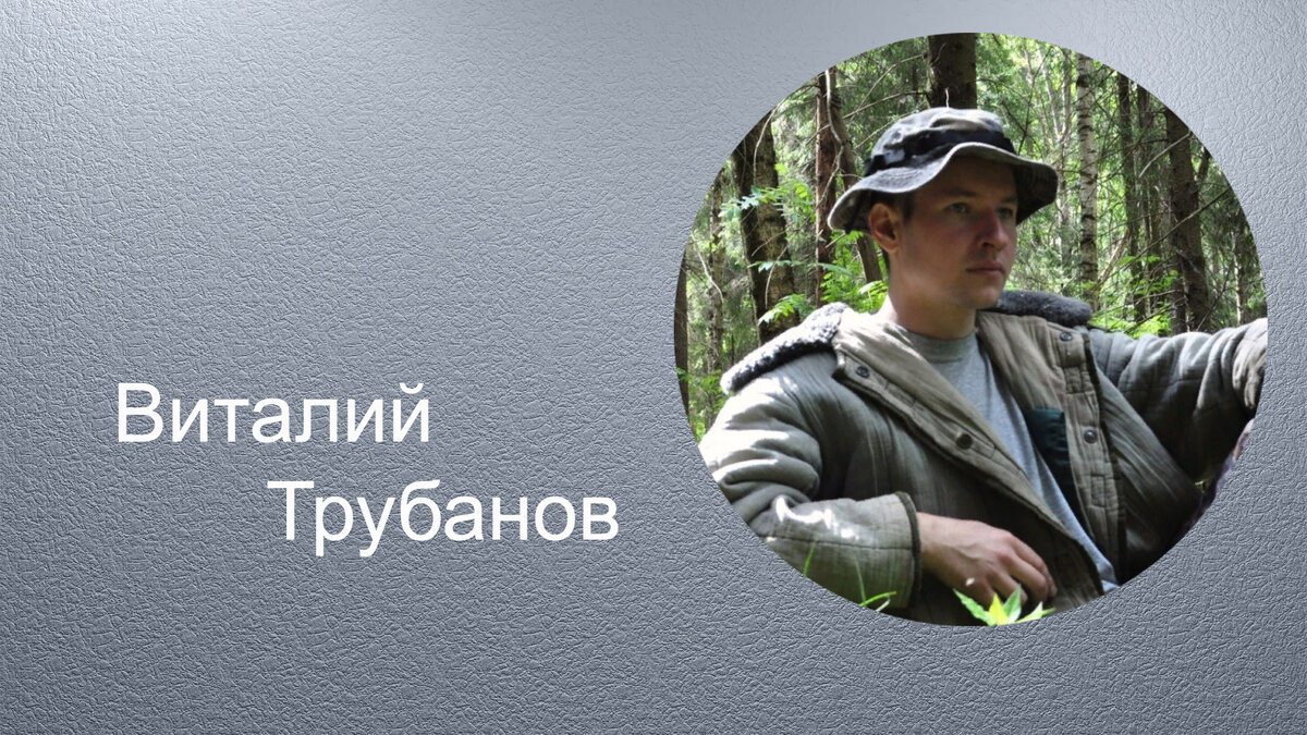 коллаж автора