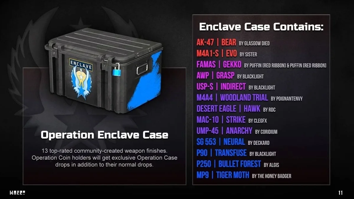 Вариант внешнего вида нового кейса со скинами. 
