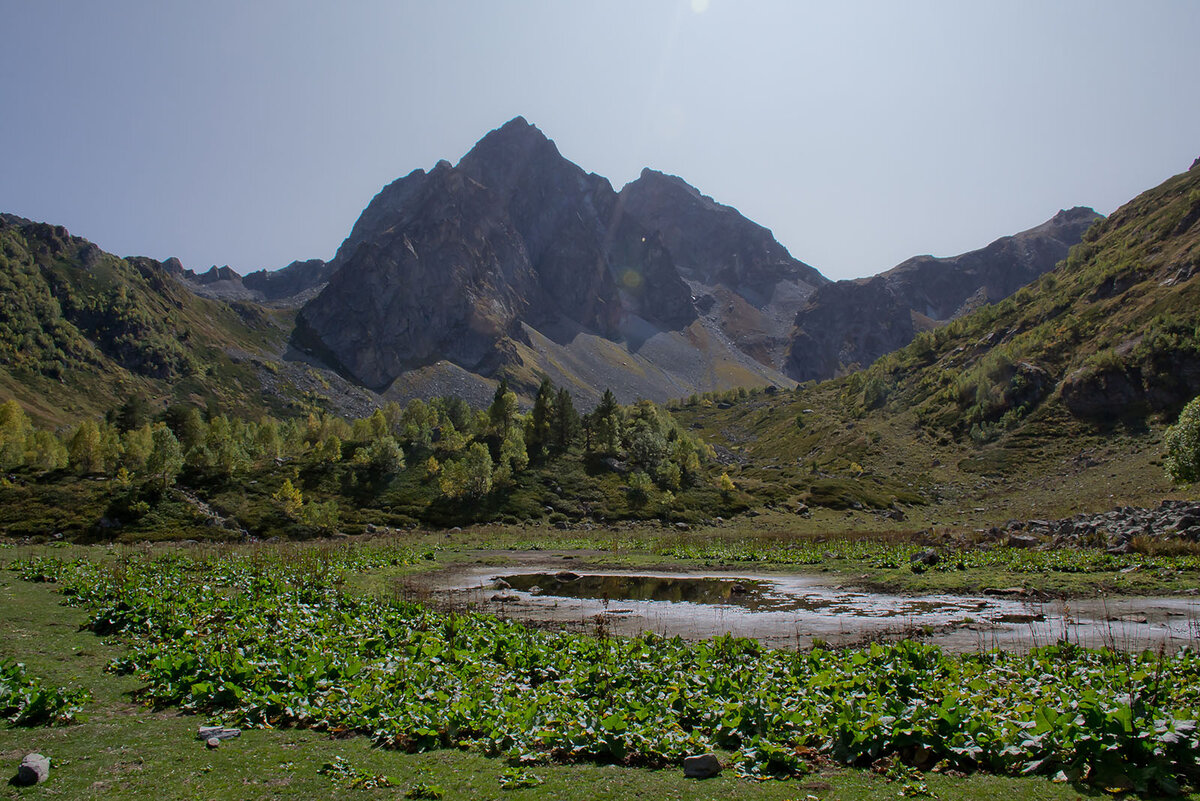 Балка Орленок и обмельчавшее озеро
