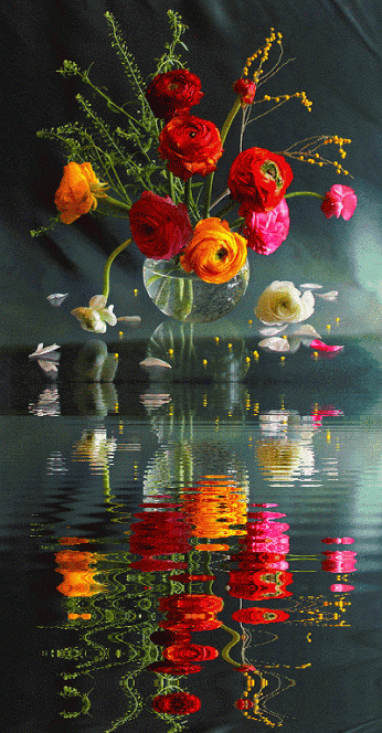 pinterest.com.