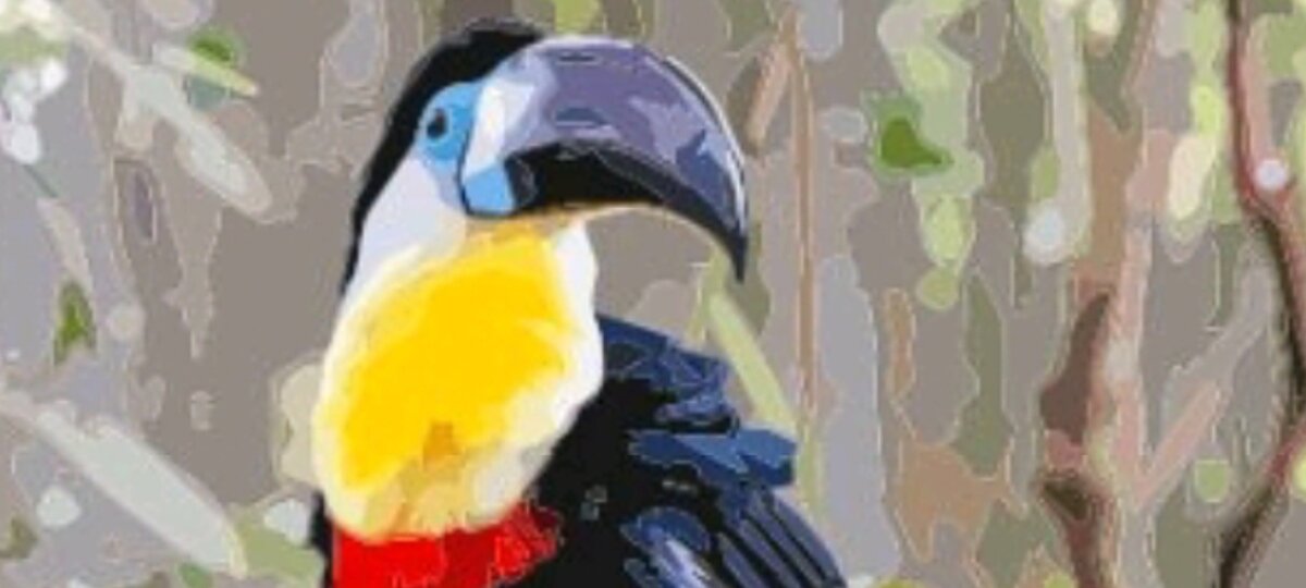 (Личное фото автора) 