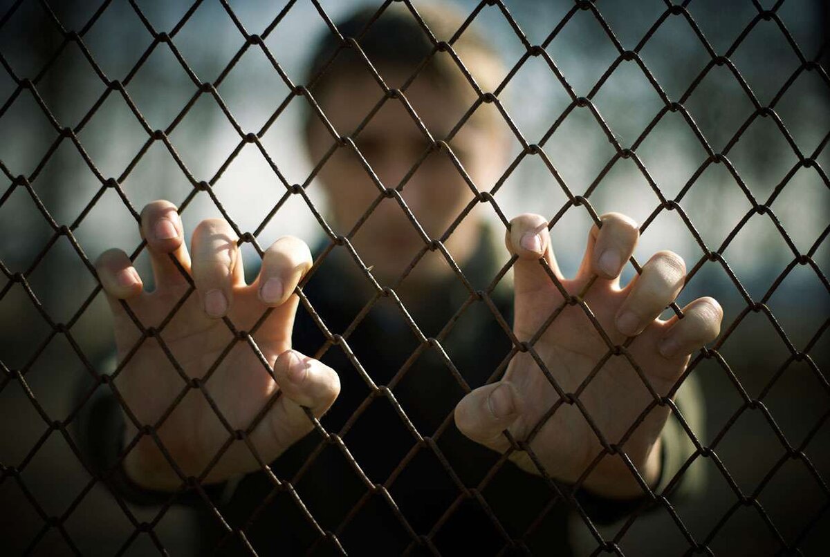 Яндекс картинки