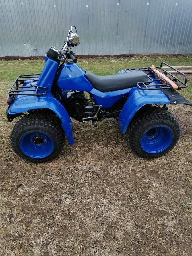 Седло коротковато, но где наша не пропадала? Можно и втроем поехать! Источник фото - https://auto.ru/atv/used/sale/zid/200_tarpan/3716138-2cc28e10/