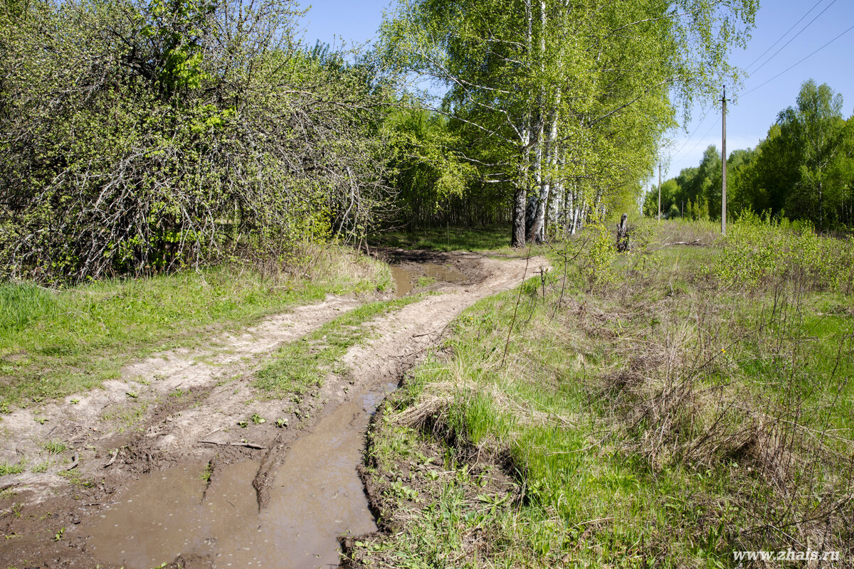 Ново-Ольговское городище (рязанский "Стоунхендж") | ИНТЕРСЕТ | Дзен