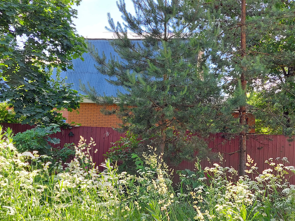Фото автора. Сельский дом.