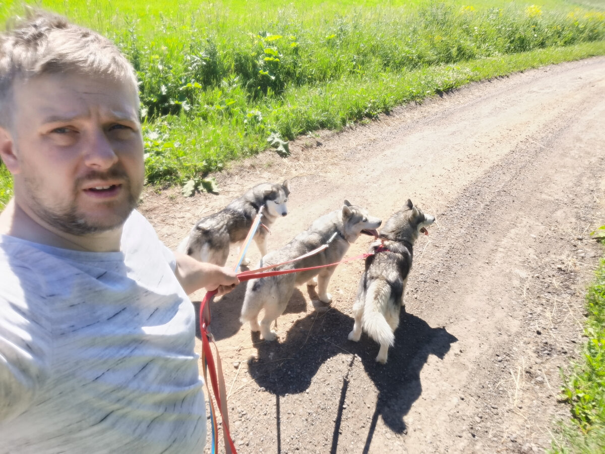 Прогулка рано утром. Тенистых тропинок у нас нет, но походить  спокойным шагом можно и так, главное взять воду в дорогу. 