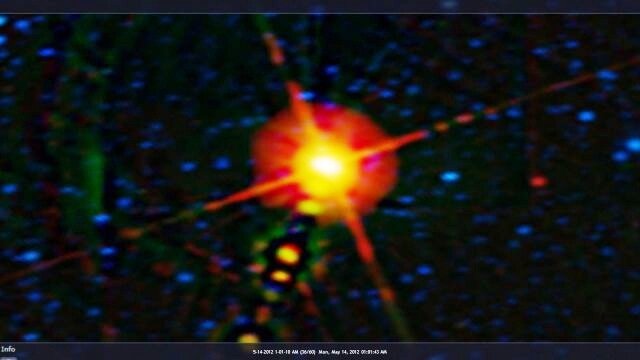 Необычный небесный объект, который обнаружили с помощью телескопа Wise за орбитой Нептуна в инфрокрасном спектре эл. волн,  очень похож на четырехлучевую нейтронную звезду класса "пропеллер".  В "хвосте" звезды отчетливо просматриваются ее спутники.
 Многие рисунки на полях изображают это же небесное тело.Рис. №5. 182-метровая Медуза на поле ячменя в Кингстоуне, Оксфордшир.
