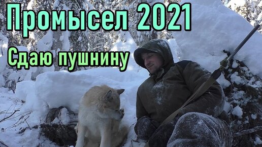 Промысел 2021. КАРАКАТ  не едет по наледи. Сдаю пушнину.