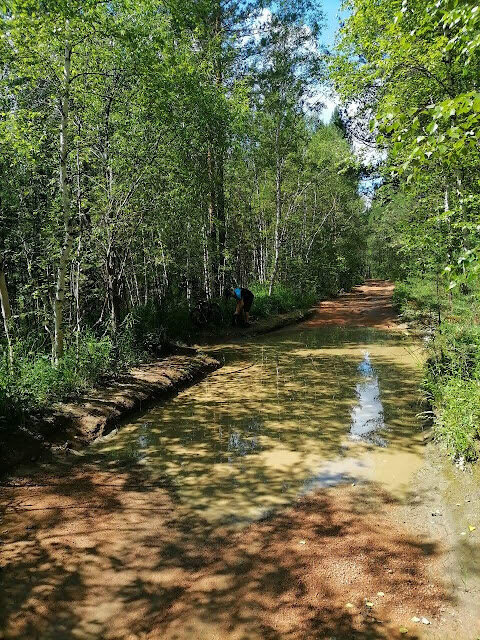 Портал в Кембрийский период