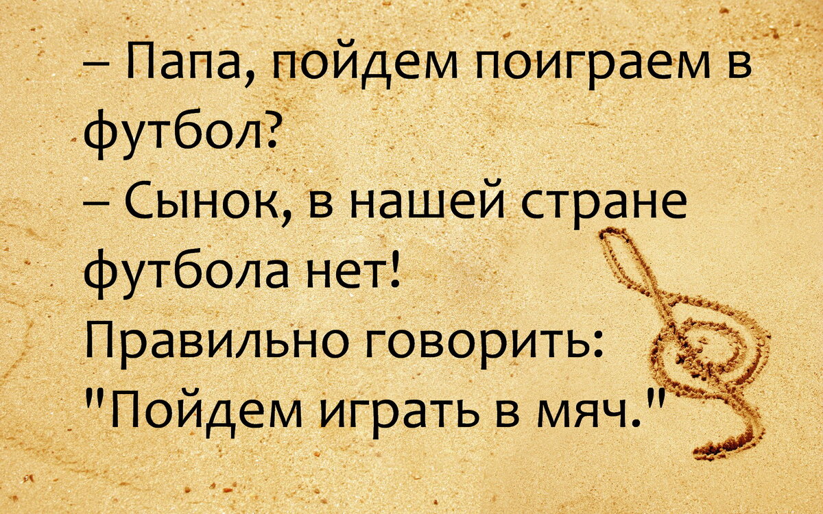 С детства подбираю с улицы голодных, бездомных животных… Так и замуж  вышла.😄Юмор. | Юморные просторы | Дзен